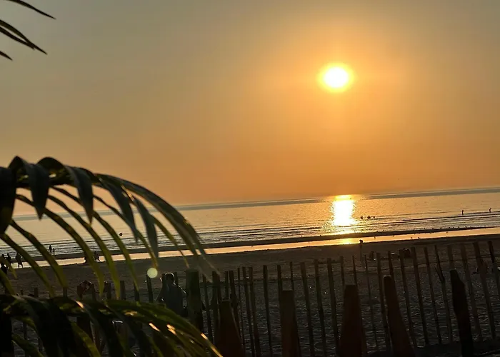 Un Petit Coin De Paradis