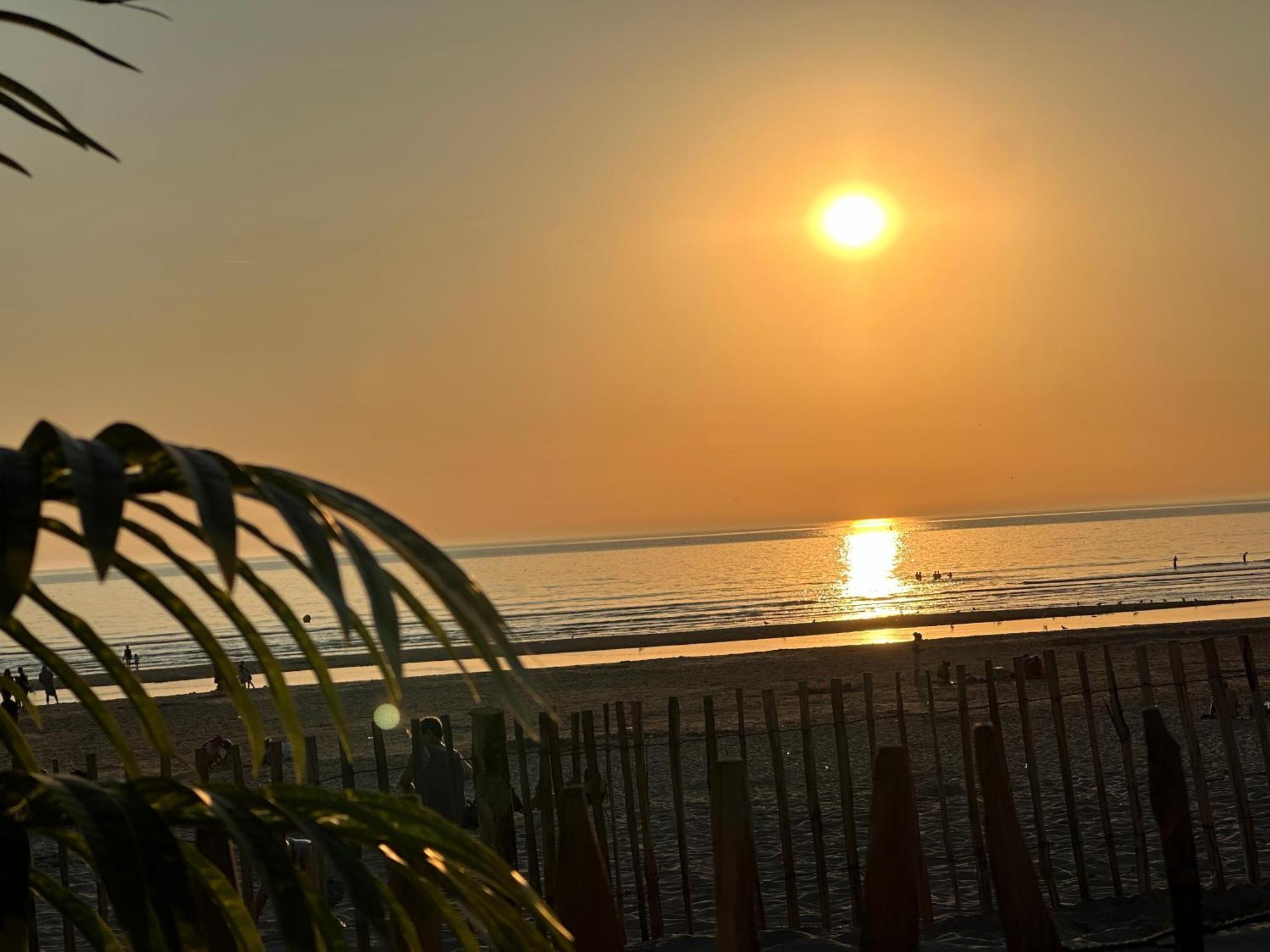 Un Petit Coin De Paradis * Fort-Mahon-Plage